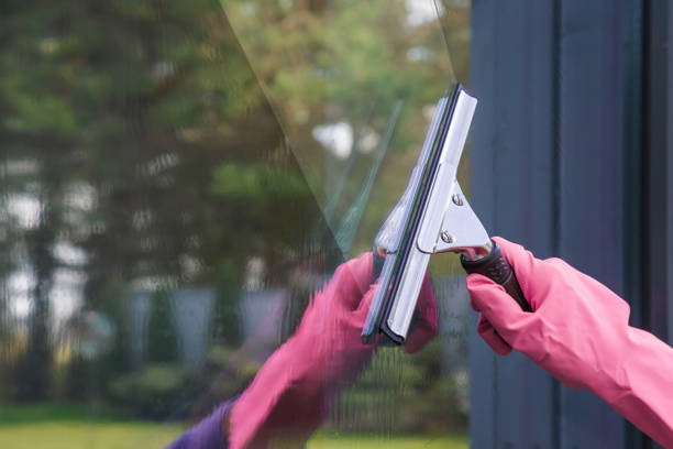 home window cleaning 